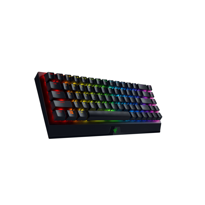 Razer BlackWidow V3 Mini Keyboard